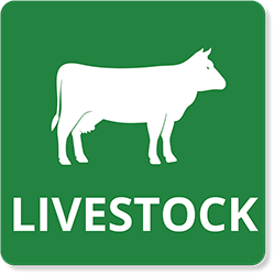 Livestock Basic Icon