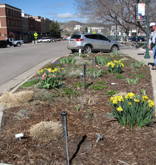Douglas County Public Gardens Douglas County Extension