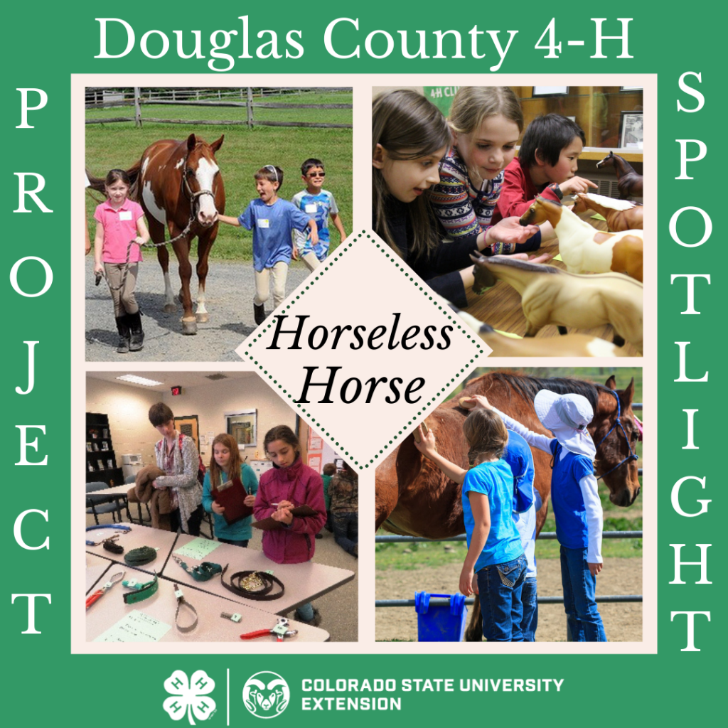 Horses Douglas County Extension